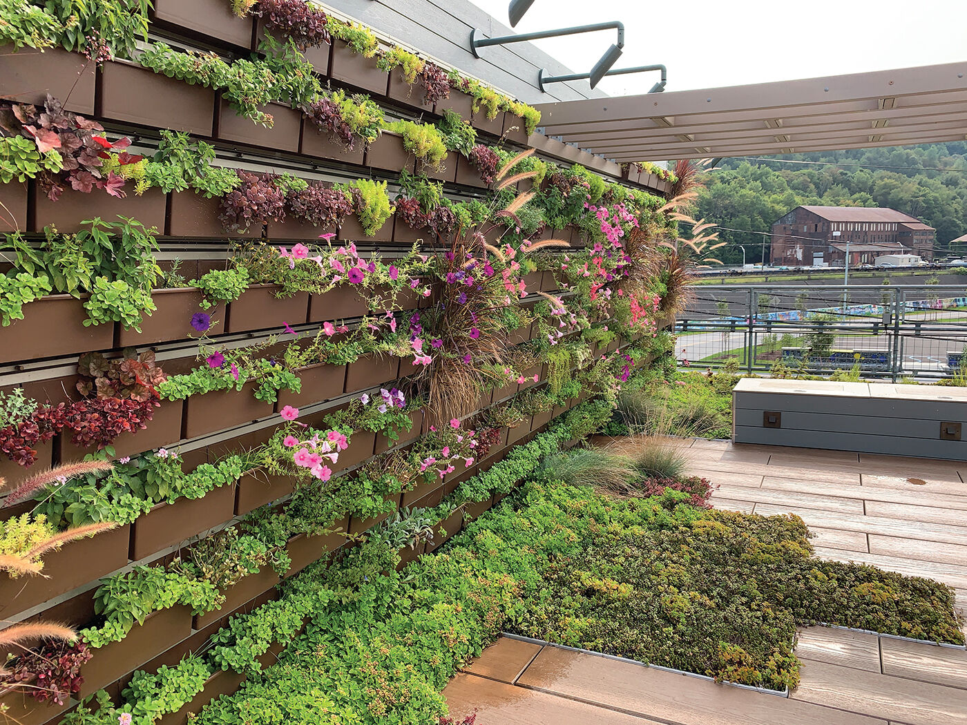 Bottle Works rooftop garden